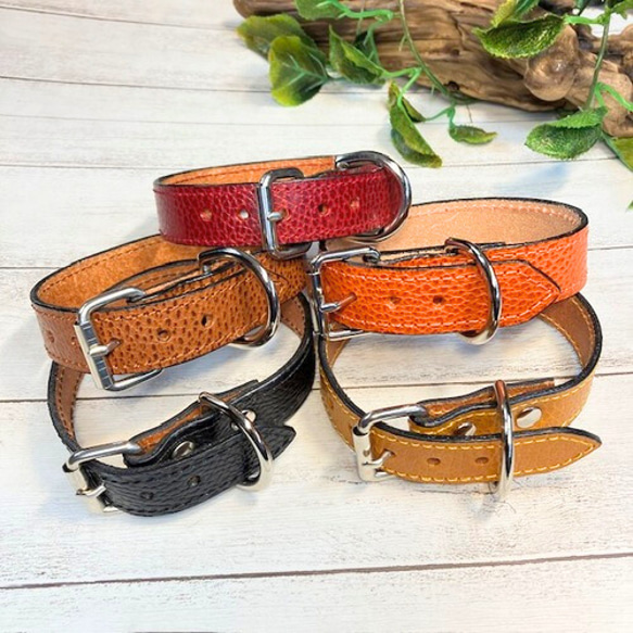 《名前入れ可能！》選べるサイズの本革犬・猫用首輪　(25㎜幅)　小型/中型/大型　【ドラーロ】 2枚目の画像