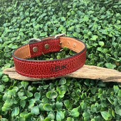 《名前入れ可能！》選べるサイズの本革犬・猫用首輪　(25㎜幅)　小型/中型/大型　【ドラーロ】 16枚目の画像