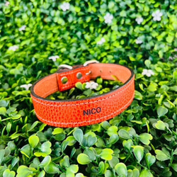 《名前入れ可能！》選べるサイズの本革犬・猫用首輪　(25㎜幅)　小型/中型/大型　【ドラーロ】 15枚目の画像