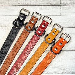 《名前入れ可能！》選べるサイズの本革犬・猫用首輪　(25㎜幅)　小型/中型/大型　【ドラーロ】 6枚目の画像