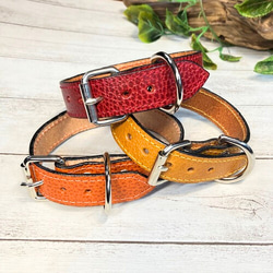 《名前入れ可能！》選べるサイズの本革犬・猫用首輪　(25㎜幅)　小型/中型/大型　【ドラーロ】 4枚目の画像