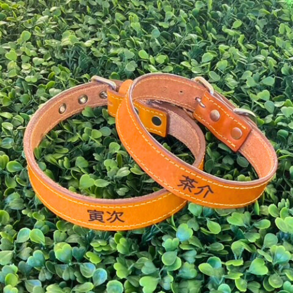 《名前入れ可能！》選べるサイズの本革犬・猫用首輪　(25㎜幅)　小型/中型/大型　【ブッテーロ】 16枚目の画像