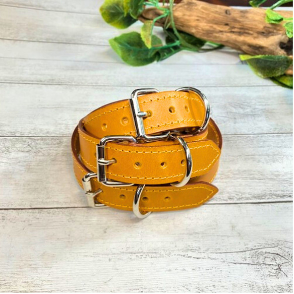 《名前入れ可能！》選べるサイズの本革犬・猫用首輪　(25㎜幅)　小型/中型/大型　【ブッテーロ】 8枚目の画像