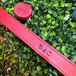 《名前入れ可能！》選べるサイズの本革犬・猫用首輪　(25㎜幅)　小型/中型/大型　【ブッテーロ】 17枚目の画像