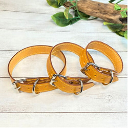 《名前入れ可能！》選べるサイズの本革犬・猫用首輪　(25㎜幅)　小型/中型/大型　【ブッテーロ】 7枚目の画像