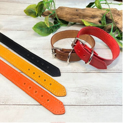 《名前入れ可能！》選べるサイズの本革犬・猫用首輪　(25㎜幅)　小型/中型/大型　【ブッテーロ】 1枚目の画像