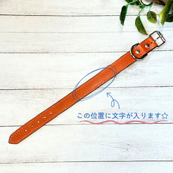 《名前入れ可能！》選べるサイズの本革犬・猫用首輪　(25㎜幅)　小型/中型/大型　【ブッテーロ】 9枚目の画像