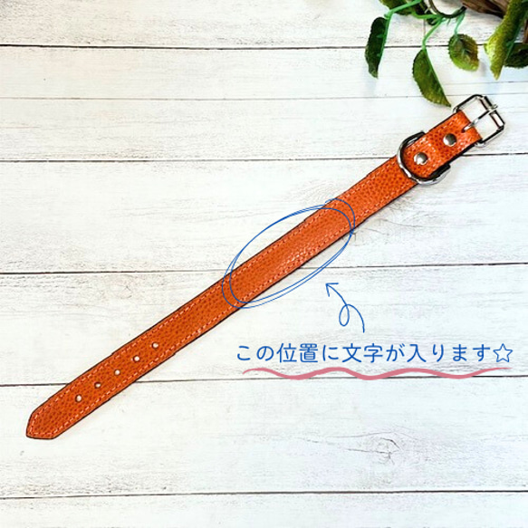 《名前入れ可能！》選べるサイズの本革犬・猫用首輪　(25㎜幅)　小型/中型/大型　【ブッテーロ】 9枚目の画像