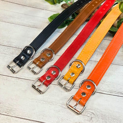 《名前入れ可能！》選べるサイズの本革犬・猫用首輪　(25㎜幅)　小型/中型/大型　【ブッテーロ】 5枚目の画像