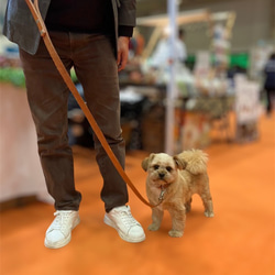 《高級ベンズ革使用》選べるサイズの本革犬・猫用首輪　(15㎜幅)　小型/中型/大型　【ヌメ】 13枚目の画像