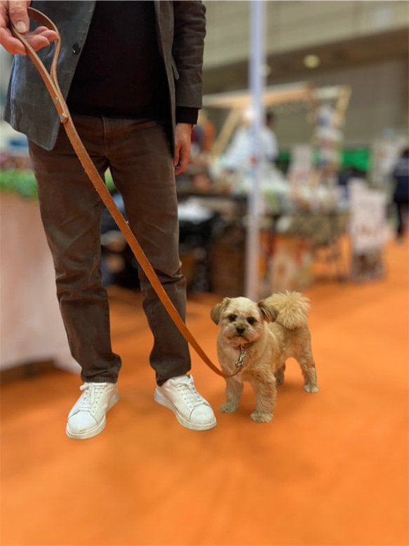 《高級ベンズ革使用》選べるサイズの本革犬・猫用首輪　(15㎜幅)　小型/中型/大型　【ヌメ】 13枚目の画像