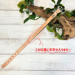 《高級ベンズ革使用》選べるサイズの本革犬・猫用首輪　(15㎜幅)　小型/中型/大型　【ヌメ】 7枚目の画像
