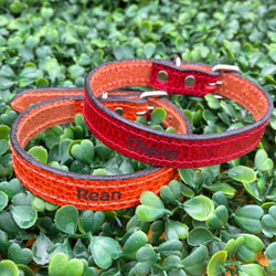 《名前入れ可能！》選べるサイズの本革犬・猫用首輪　(15㎜幅)小型/中型/大型　【ドラーロ】 10枚目の画像