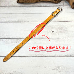 《名前入れ可能！》選べるサイズの本革犬・猫用首輪　(15㎜幅)小型/中型/大型　【ドラーロ】 7枚目の画像
