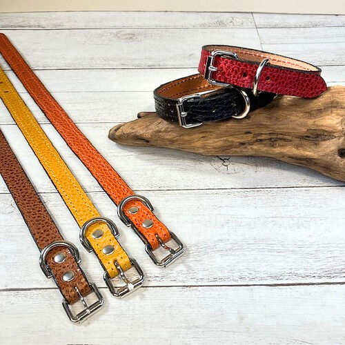 《名前入れ可能！》選べるサイズの本革犬・猫用首輪　(15㎜幅)小型/中型/大型　【ドラーロ】 4,538円