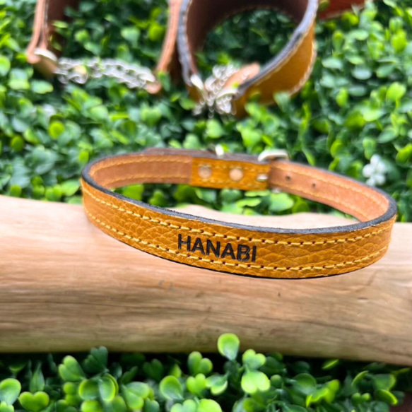 《名前入れ可能！》選べるサイズの本革犬・猫用首輪　(15㎜幅)小型/中型/大型　【ドラーロ】 9枚目の画像