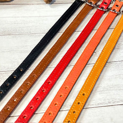 《名前入れ可能！》選べるサイズの本革犬・猫用首輪　(15㎜幅)小型/中型/大型　【ブッテーロ】 6枚目の画像