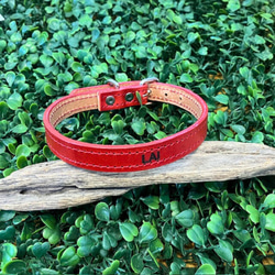 《名前入れ可能！》選べるサイズの本革犬・猫用首輪　(15㎜幅)小型/中型/大型　【ブッテーロ】 11枚目の画像