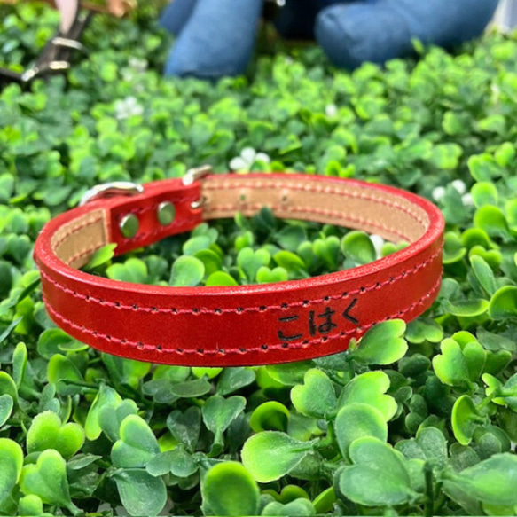 《名前入れ可能！》選べるサイズの本革犬・猫用首輪　(15㎜幅)小型/中型/大型　【ブッテーロ】 9枚目の画像