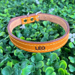 《名前入れ可能！》選べるサイズの本革犬・猫用首輪　(15㎜幅)小型/中型/大型　【ブッテーロ】 12枚目の画像