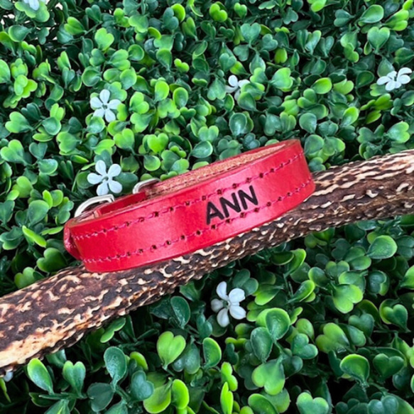 《名前入れ可能！》選べるサイズの本革犬・猫用首輪　(15㎜幅)小型/中型/大型　【ブッテーロ】 10枚目の画像