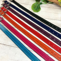 《名前入れ可能！》選べるサイズの本革犬・猫用首輪　(15㎜幅)　小型/中型/大型　【ルガトショルダー】 7枚目の画像