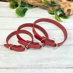 《名前入れ可能！》選べるサイズの本革犬・猫用首輪　(15㎜幅)　小型/中型/大型　【ルガトショルダー】 10枚目の画像