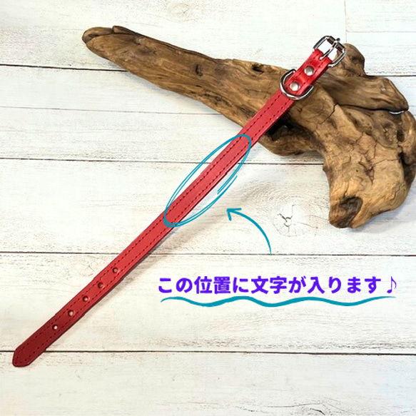《名前入れ可能！》選べるサイズの本革犬・猫用首輪　(15㎜幅)　小型/中型/大型　【ルガトショルダー】 11枚目の画像