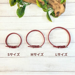 《名前入れ可能！》選べるサイズの本革犬・猫用首輪　(15㎜幅)　小型/中型/大型　【ルガトショルダー】 9枚目の画像