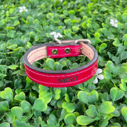 《名前入れ可能！》選べるサイズの本革犬・猫用首輪　(15㎜幅)　小型/中型/大型　【ルガトショルダー】 14枚目の画像