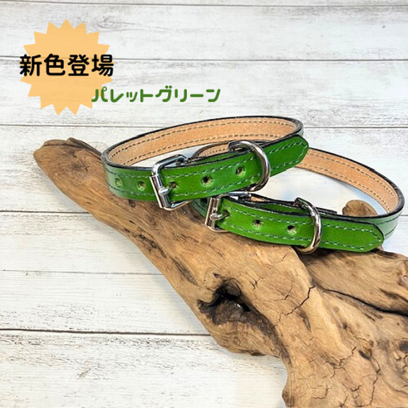 《名前入れ可能！》選べるサイズの本革犬・猫用首輪　(15㎜幅)　小型/中型/大型　【ルガトショルダー】 3枚目の画像