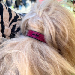 《名前入れ可能！》選べるサイズの本革犬・猫用首輪　(15㎜幅)　小型/中型/大型　【ルガトショルダー】 15枚目の画像