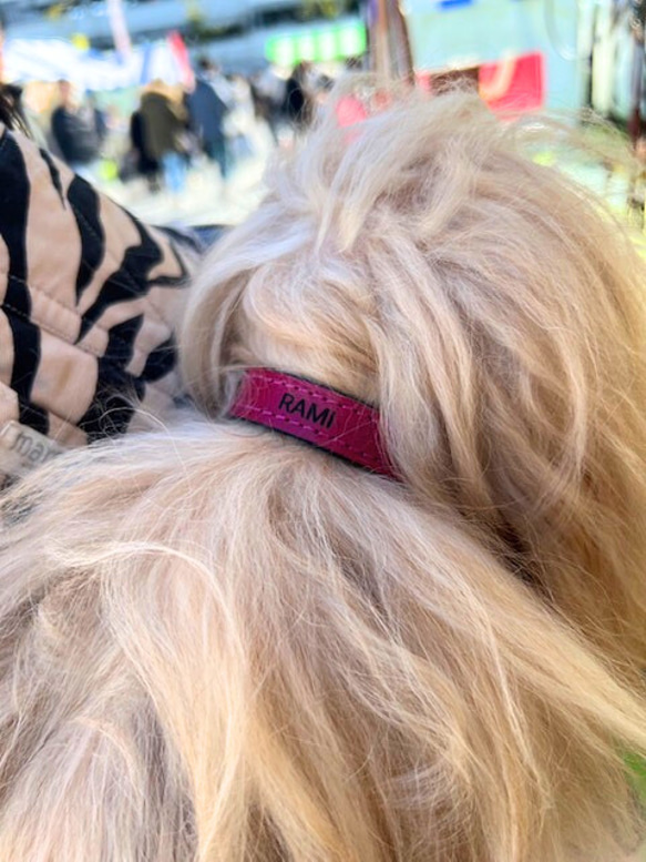 《名前入れ可能！》選べるサイズの本革犬・猫用首輪　(15㎜幅)　小型/中型/大型　【ルガトショルダー】 15枚目の画像