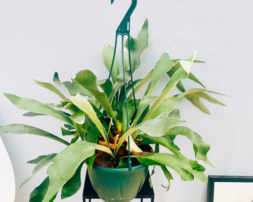 139d9fa6aed404c069dd2a6fad2e88