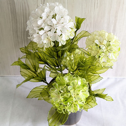 白く涼しい】◇アナベルの鉢植え◇アメリカンフラワー・ディップアート