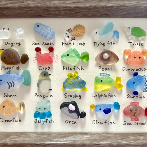 シーグラスアート☆No158 図鑑 ギフト プレゼント 水族館