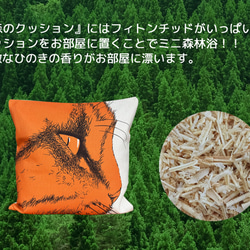 森林靠墊 2025 貓咪圖案 - 檜木香 - 第12張的照片