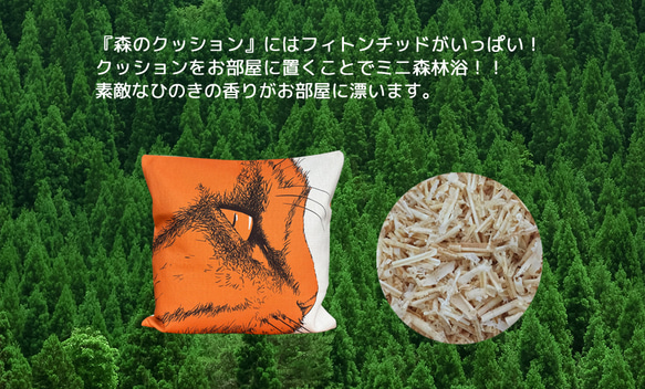 森林靠墊 2025 貓咪圖案 - 檜木香 - 第12張的照片