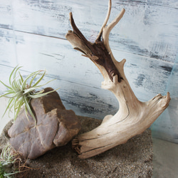 30049bec459fcb85f04ed2840c348f