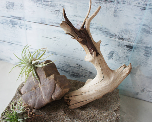 30049bec459fcb85f04ed2840c348f