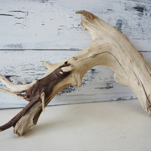 流木　自立　アク抜済み爬虫類 シェルター 登り木 上り木 テラリウム 苔リウム 流木 自立 アク抜済み爬虫類 シェルター 登り木 上り木