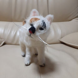 羊毛フェルト チャウチャウ犬 羊毛フェルト Kingこうた 通販 18607402