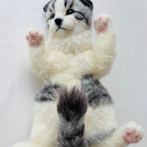 羊毛フェルト ヘソ天 猫 サバ白 羊毛フェルト にじいろ 羊毛フェルト