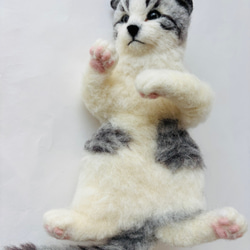 羊毛フェルト ヘソ天 猫 サバ白 羊毛フェルト にじいろ 羊毛フェルト