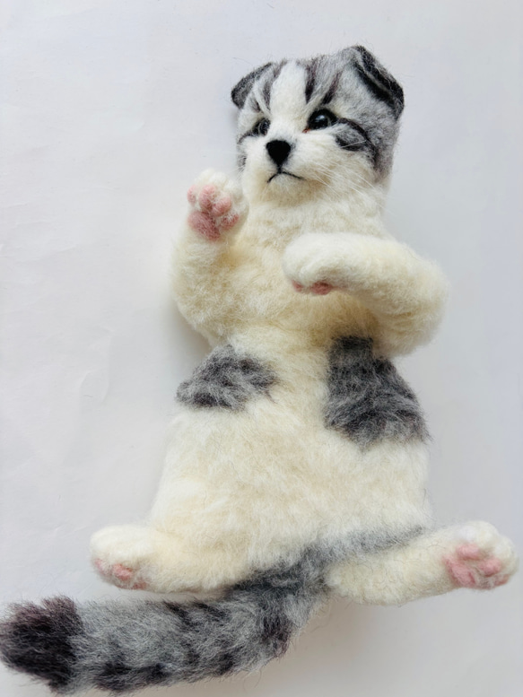羊毛フェルト　チワワ　ヘソ天 羊毛フェルト ヘソ天 猫 サバ白 羊毛フェルト にじいろ 羊毛フェルト