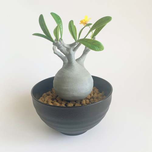 一点物 アートオブジェ グラキリス モチーフ マーブルカラー