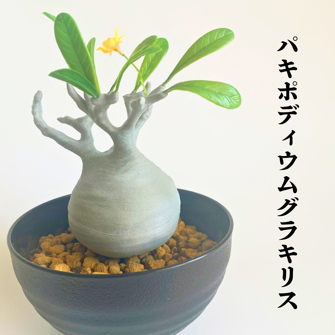 一点物 アートオブジェ グラキリス モチーフ マーブルカラー インテリア置物 モチーフ アートオブジェ グラキリス マーブルカラー 一点物 インテリア置物