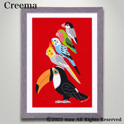 原画「ポップな小鳥ブレーメン アカエリゴシキセイガイインコ