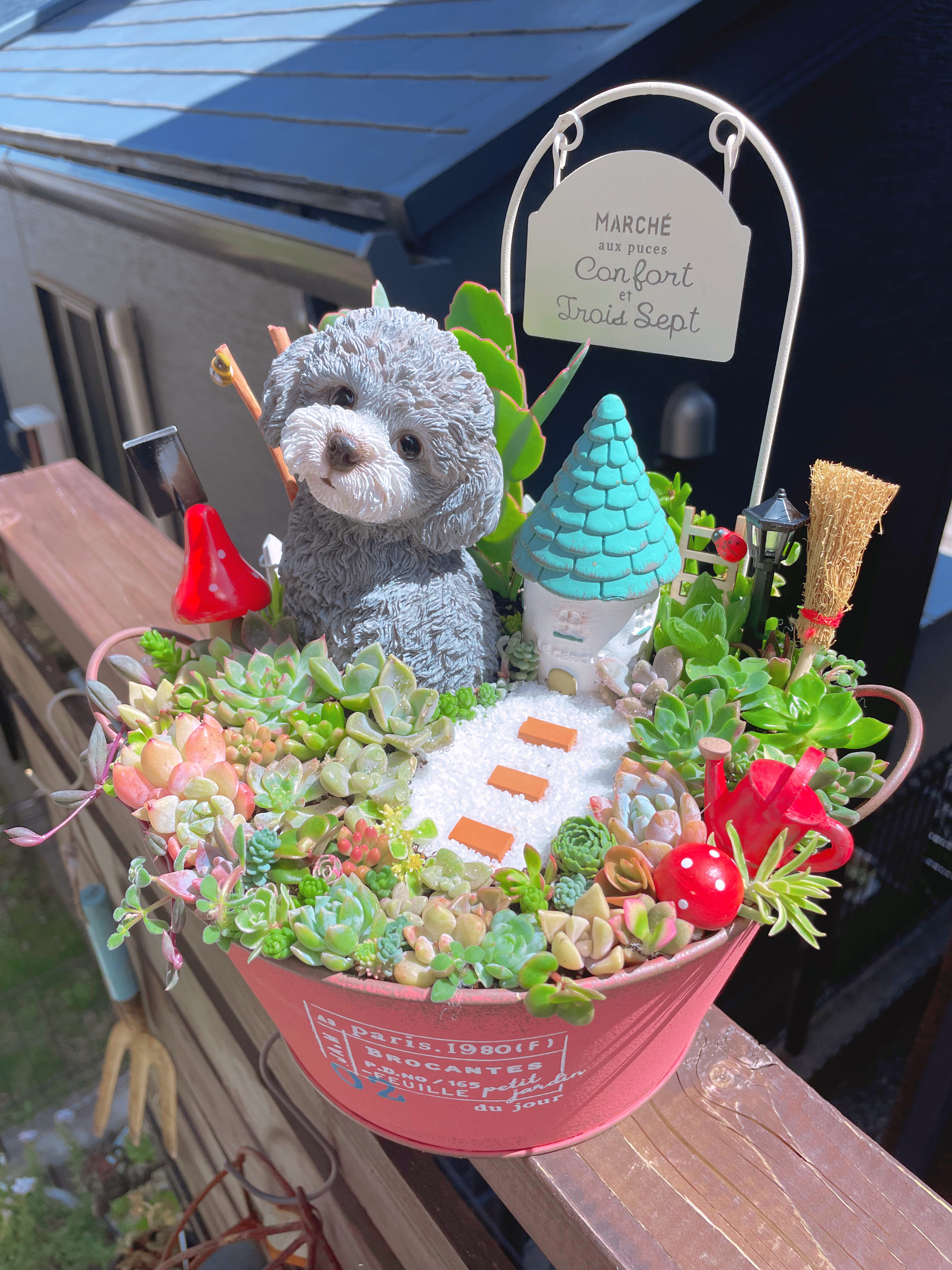 リアル?!わんちゃんの居るお庭 箱庭風多肉植物寄せ植え