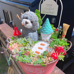 受注制作 うさぎさんガーデン箱庭風多肉植物寄せ植え 多肉植物 まぁ